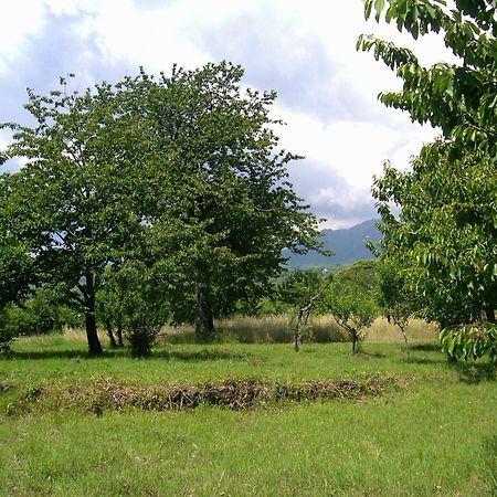Willa Cirasellaetna SantʼAlfio Zewnętrze zdjęcie